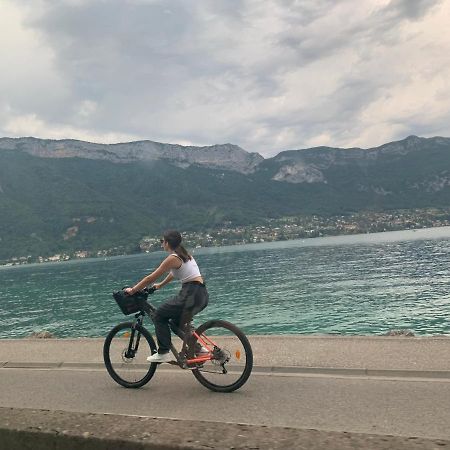 Petit Cocon Entre Lac, Golf Et Montagne, Proche D'Annecy Giez Екстериор снимка